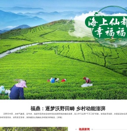 福鼎频道