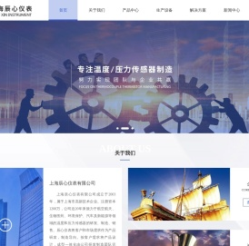 上海辰心仪表有限公司