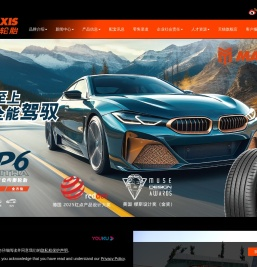 正新橡胶（中国）有限公司