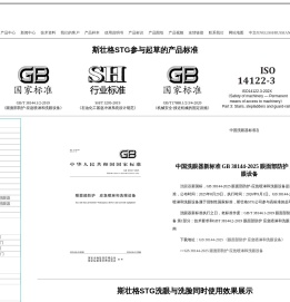 斯壮格STG