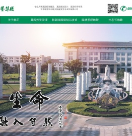 杨艺集团