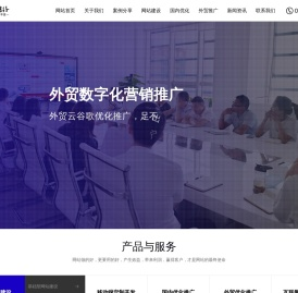 外贸云谷歌优化推广