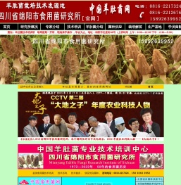 羊肚菌