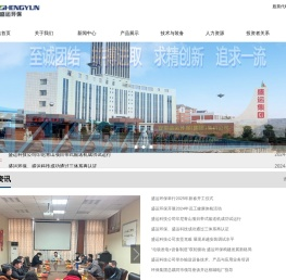 安徽盛运环保(集团)股份有限公司