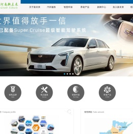 河南新未来投资有限公司