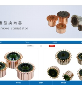 瑞安市天瑞换向器有限公司