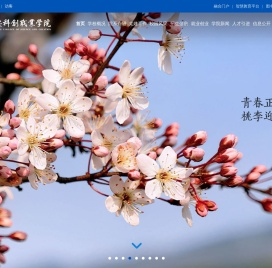 重庆科创职业学院门户网站〔www.cqie.cn〕·首页