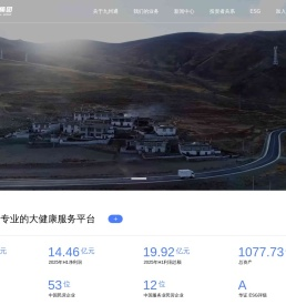 九州通医药集团股份有限公司