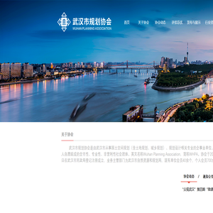 武汉市规划协会