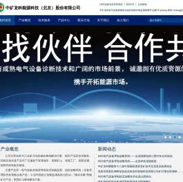 中矿龙科