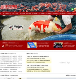 东方锦鲤