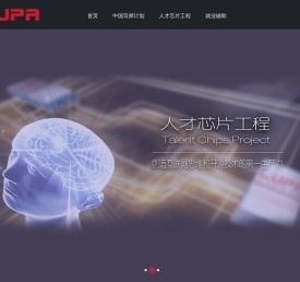 LUPA人才芯片工程