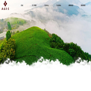 仙居县茶叶实业有限公司