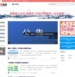 咸鱼网