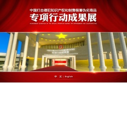 中国打击侵犯知识产权和制售假冒伪劣商品专项行动成果展