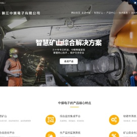 镇江中煤电子有限公司