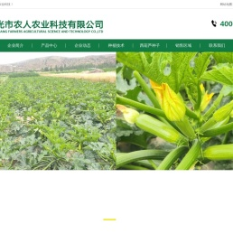 西葫芦种子