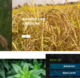 基因功能研究与操控全国重点实验室