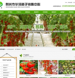 西红柿种子