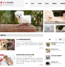 茶杯犬,茶杯猫,小香猪,迷你袖珍泰迪贵宾狗