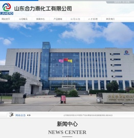 山东合力泰化工有限公司