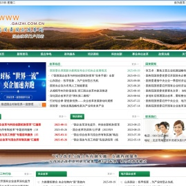 中国国资国企改革网