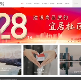 安徽金大地公司