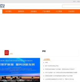 山东东明石化集团