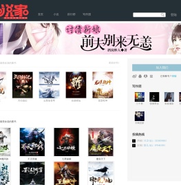 小说家