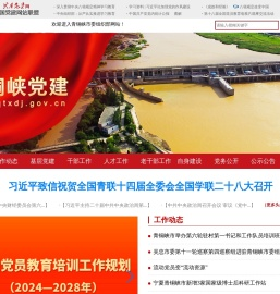 青铜峡党建网