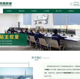 金凤凰纸业(孝感)有限公司