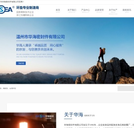 八角垫,椭圆垫,金属环垫