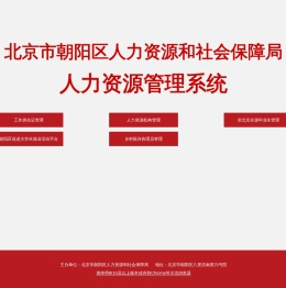 朝阳区人力社保局人力资源管理系统