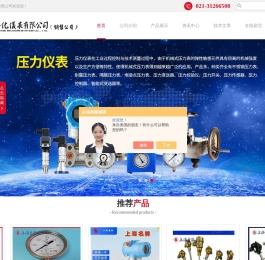 上海自动化仪表股份有限公司,上海自动化仪表有限公司,上海自动化仪表三厂,上海自动化仪表四厂,上海仪表厂,上海自仪,上仪集团,上自仪