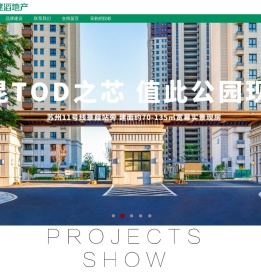 建滔地产