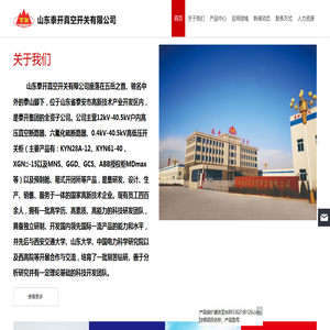 山东泰开真空开关有限公司