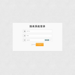 报表系统登录