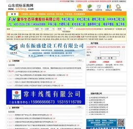 山东招标网(山东招标采购网)