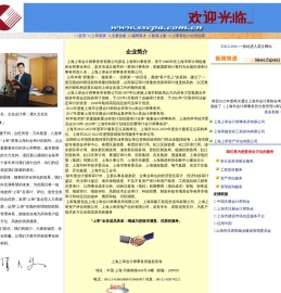 上海上审会计师事务所