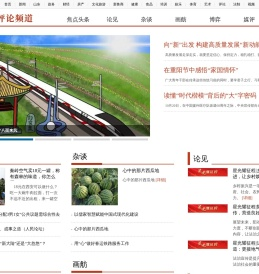 鲁网评论