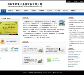 山东鲁能泰山电力设备有限公司