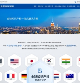 专业涉外知识产权网站