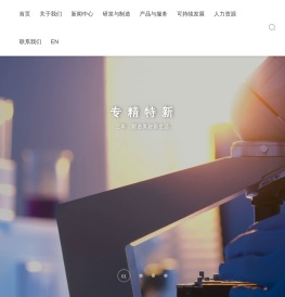 山东省临沂市三丰化工有限公司