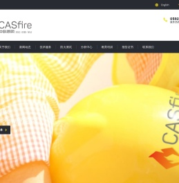 中科易朔CASfire