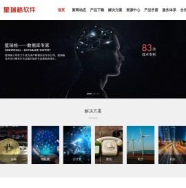 星瑞格数据库