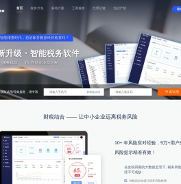 税务软件