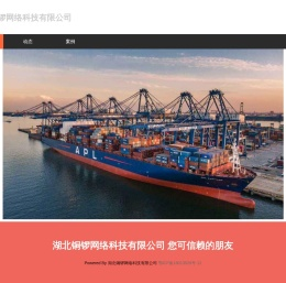 湖北铜锣网络科技有限公司