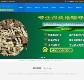 惠州白蚁防治