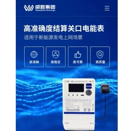 威胜集团有限公司