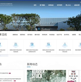 深圳大学科学技术发展研究院